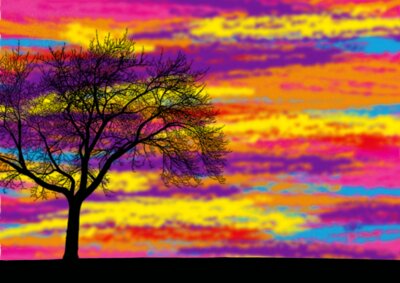 Colourfull Tree Design