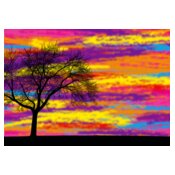 Colourfull Tree Design